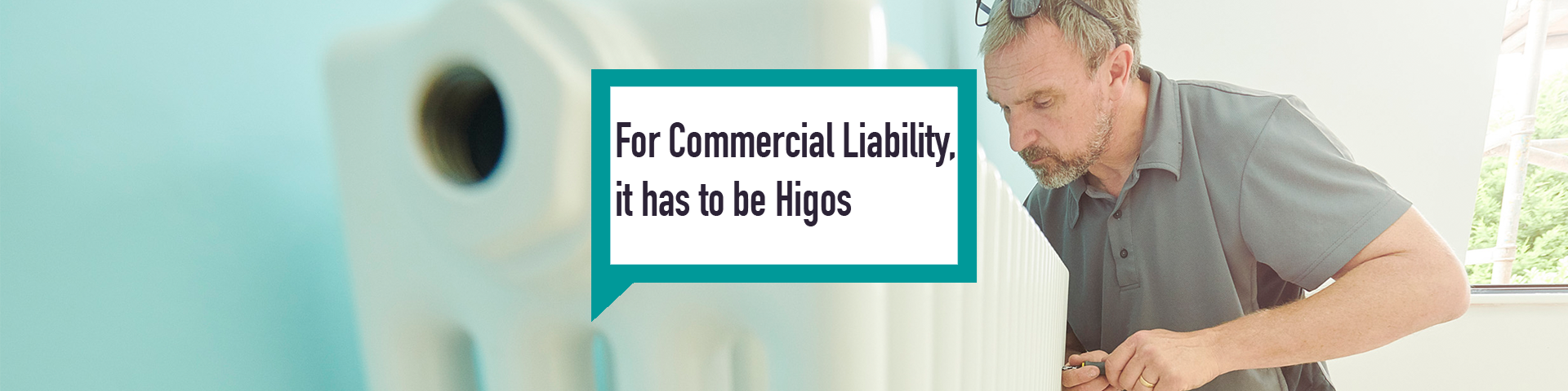 Higos business insurance commercial liability