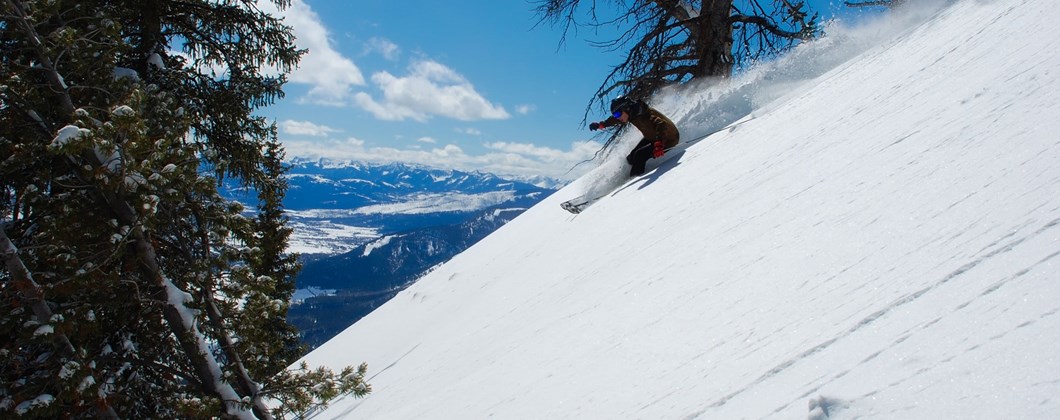 Person skiing down a mountain at high speed, surrounded by trees and a view into the mountains