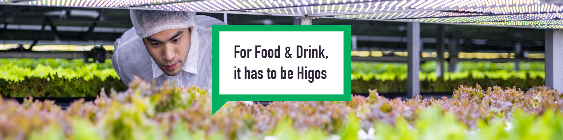 Higos Commercial insurance food & drink